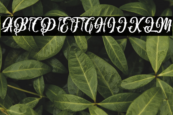 The Lastring Example 2