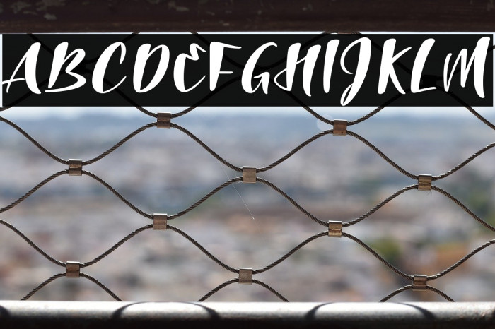 The Laughing Wolf. Regular Example 1