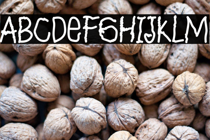 The Lazt Kinderjay 字体 examples