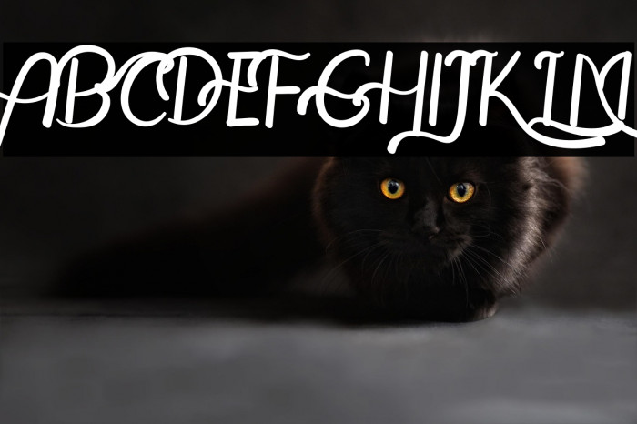 The Leamquid Love Example 1