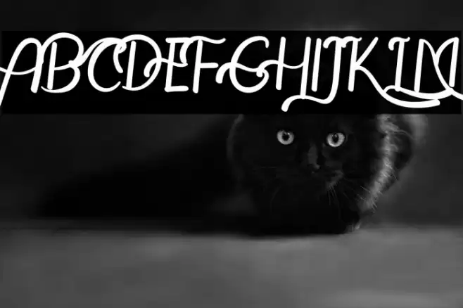 The Leamquid Love Font examples