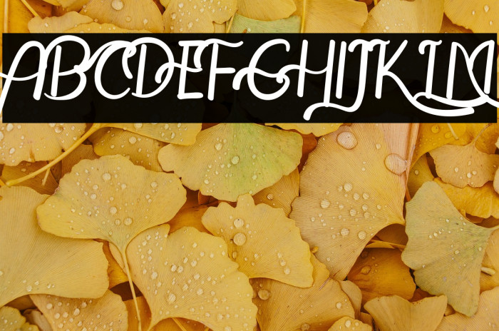 The Leamquid Love Example 3