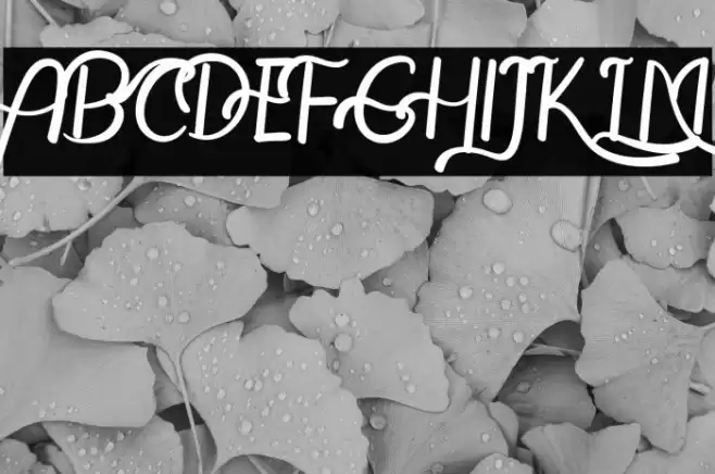 The Leamquid Love Font examples