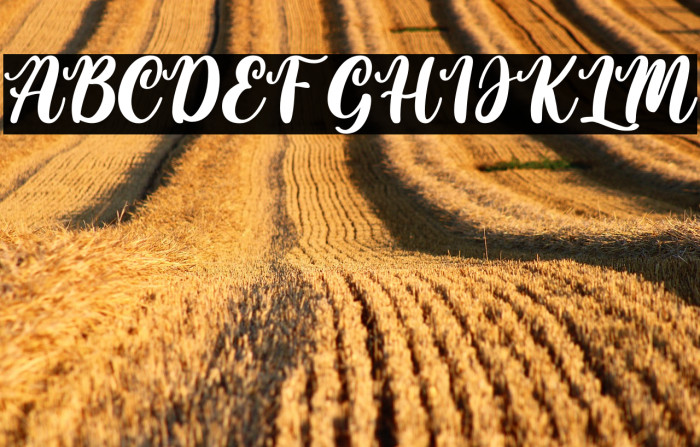 The Ledbetter Example 3