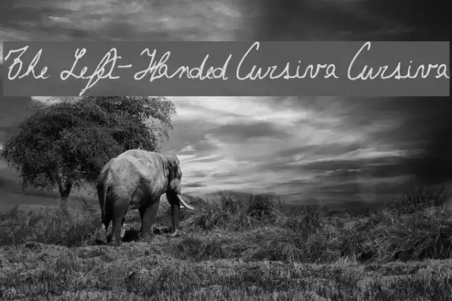 The Left-Handed Cursiva Cursiva Font examples