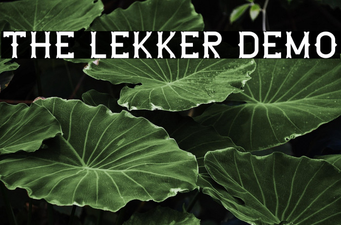 The Lekker DEMO Example 2