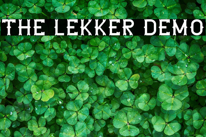 The Lekker DEMO Example 3