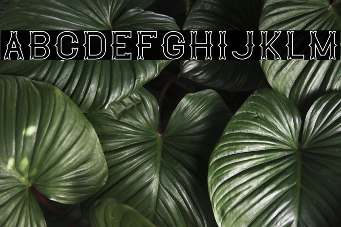 The Lekker Outline Font examples