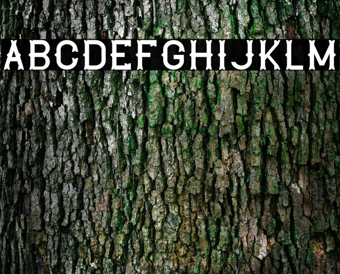 The Lekker Font examples
