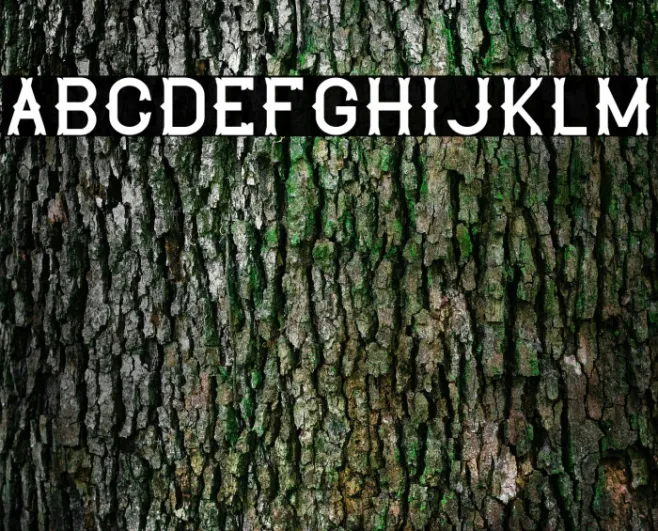 The Lekker Example 3