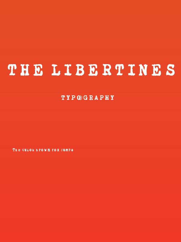 The Libertines Poster