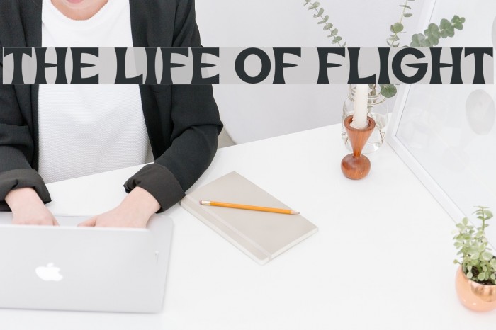 The Life of Flight Font examples