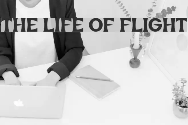 The Life of Flight Font examples