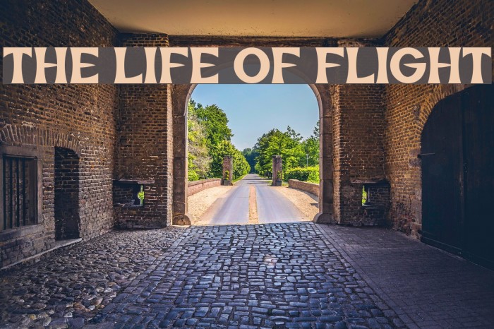 The Life of Flight Font examples