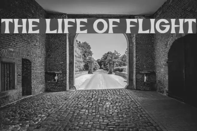 The Life of Flight Font examples