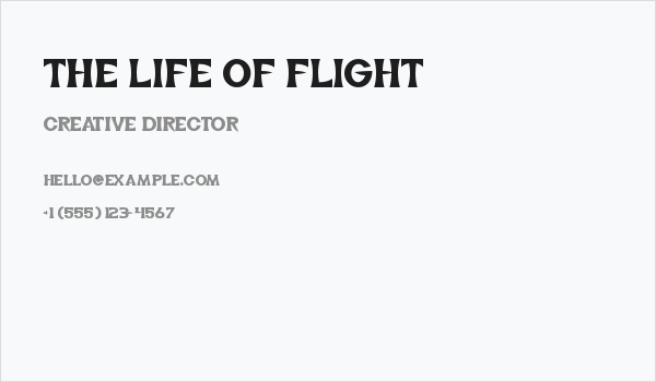 The Life of Flight Business Card