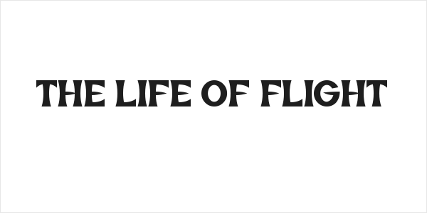The Life of Flight Logo