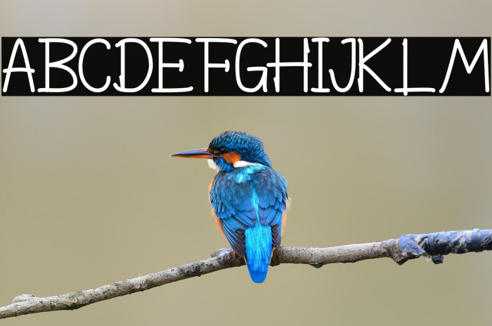 The Lightness Example 3