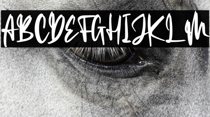 The Limited Example 1