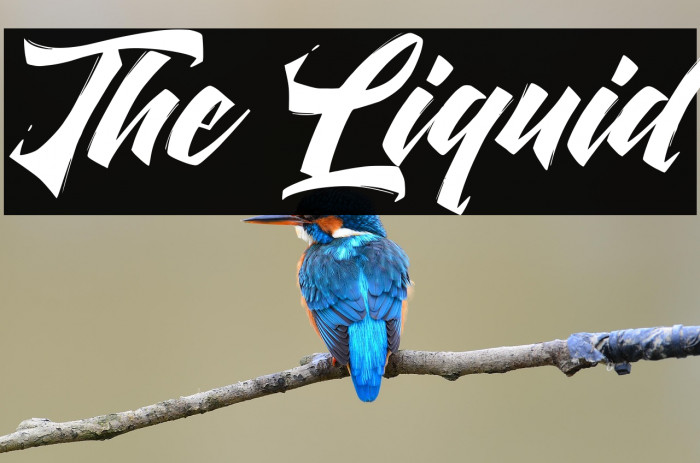 The Liquid Example 2