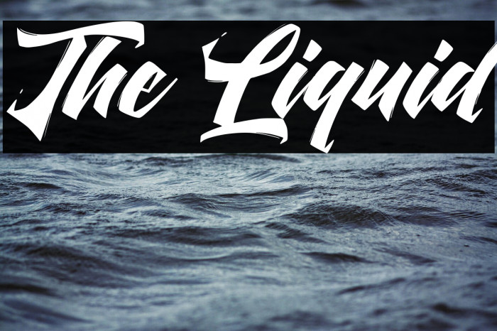 The Liquid Example 3