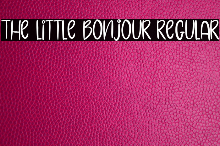 The Little Bonjour Regular Example 1