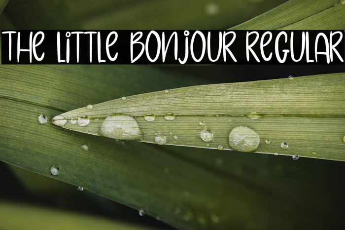 The Little Bonjour Regular Example 2