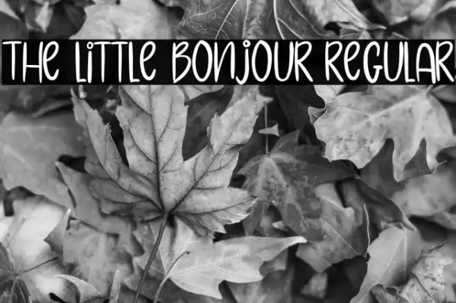 The Little Bonjour Regular Font examples