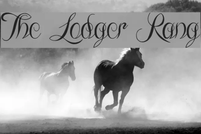 The Lodger Rang Example 3