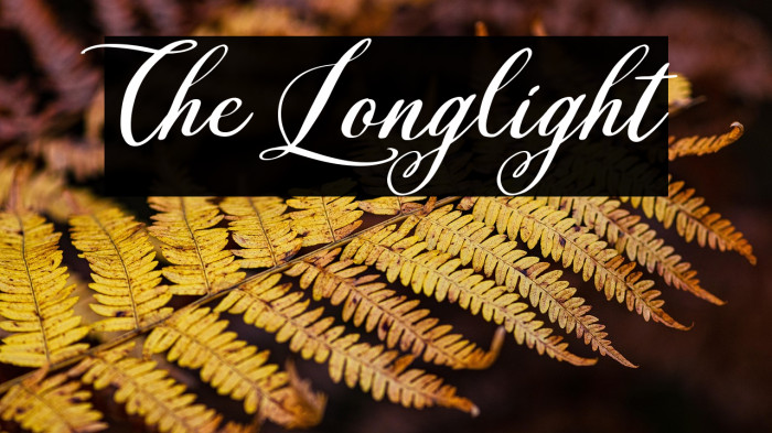The Longlight Example 2