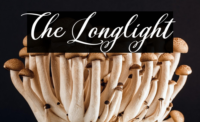 The Longlight Example 3