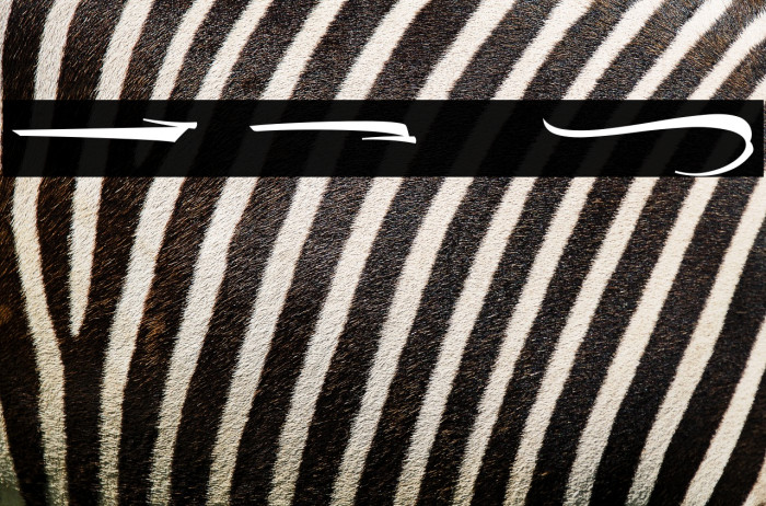 The Lord Night Thorn Swash Example 2