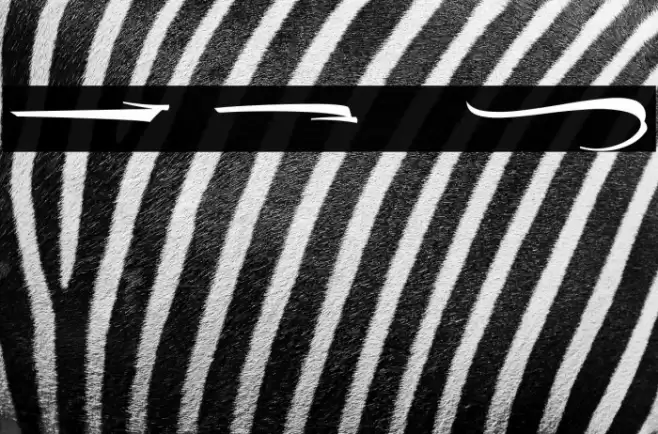 The Lord Night Thorn Swash Font examples