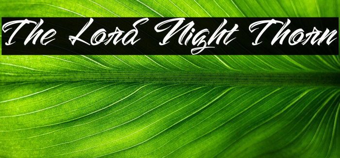 The Lord Night Thorn Example 1