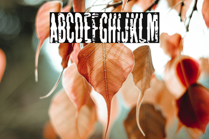 The Lord Of Glitch Example 1