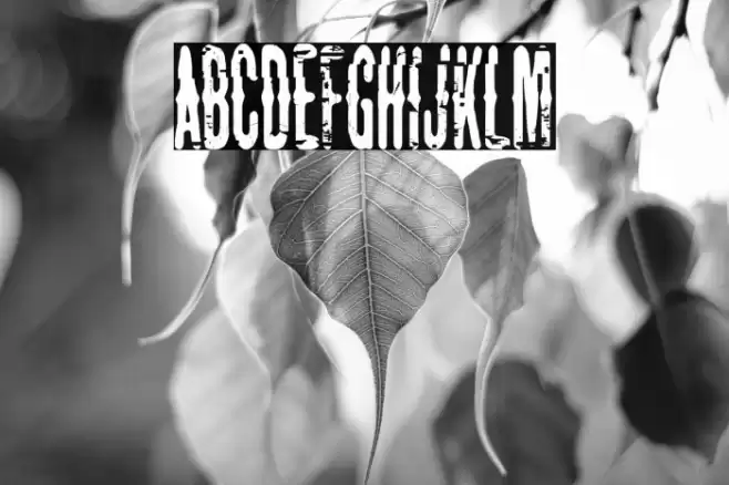 The Lord Of Glitch Font examples