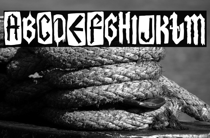 The Lord Of Punk Example 2