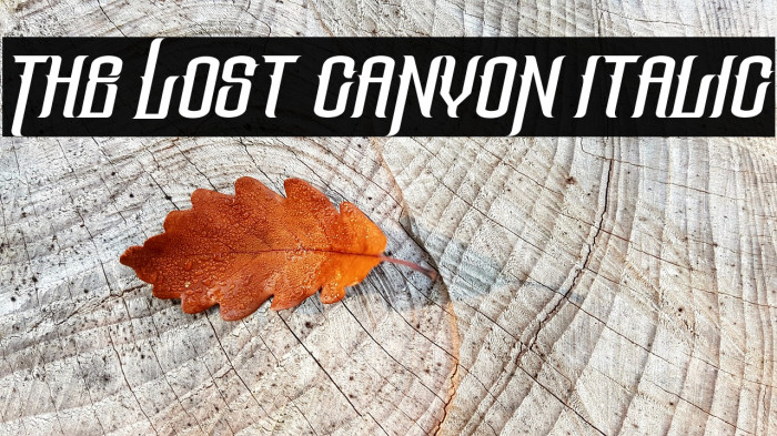 The Lost Canyon Italic Font examples