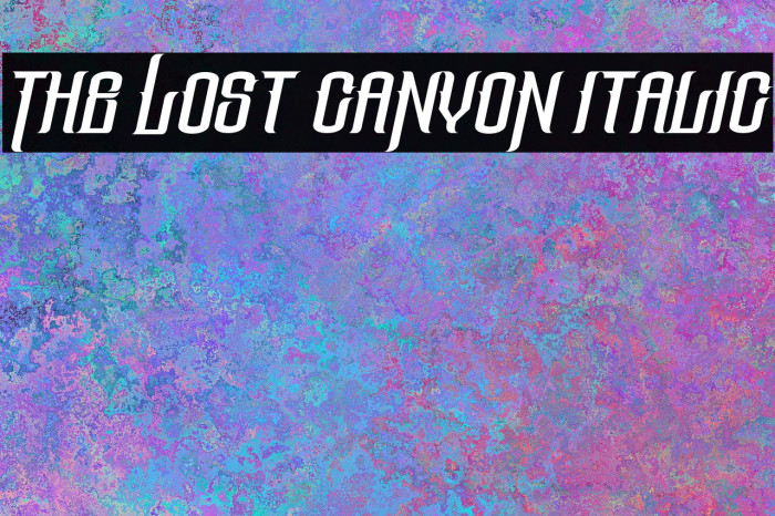 The Lost Canyon Italic Font examples