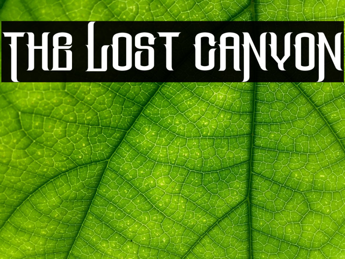 The Lost Canyon Example 3