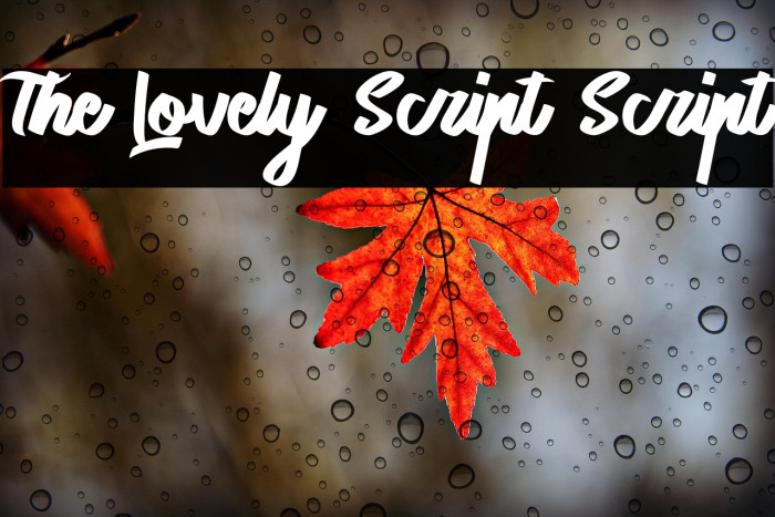The Lovely Script Script Example 1