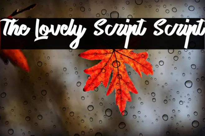 The Lovely Script Script Example 1
