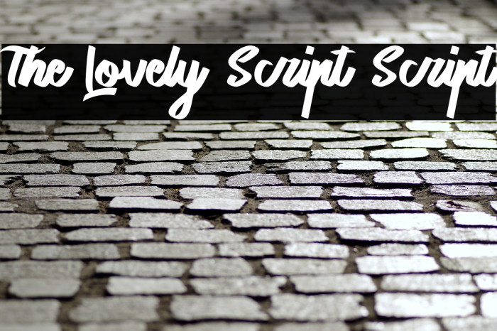 The Lovely Script Script Example 3