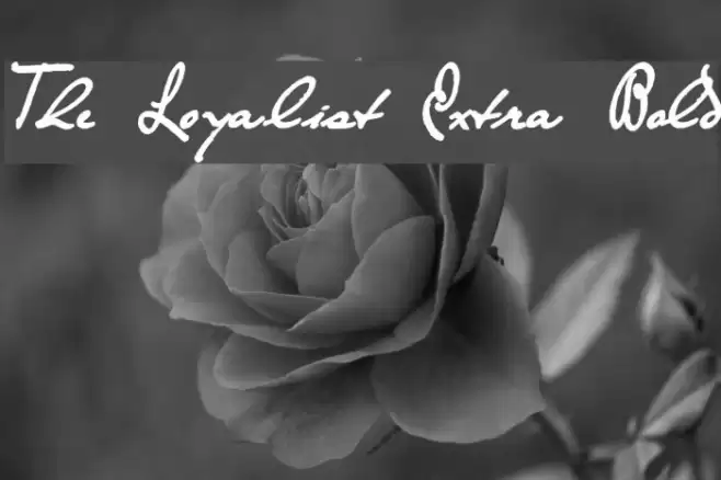 The Loyalist Extra Bold Font examples