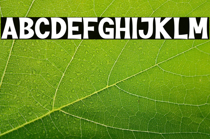 The Lucky Hamster Example 2