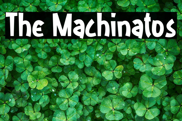 The Machinatos Example 2