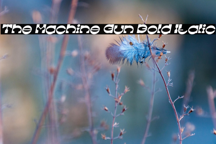 The Machine Gun Bold Italic Example 3