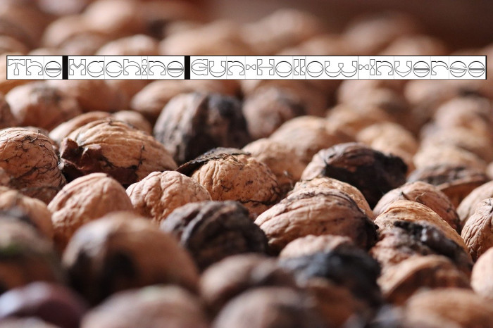 The Machine Gun-Hollow-Inverse Example 2