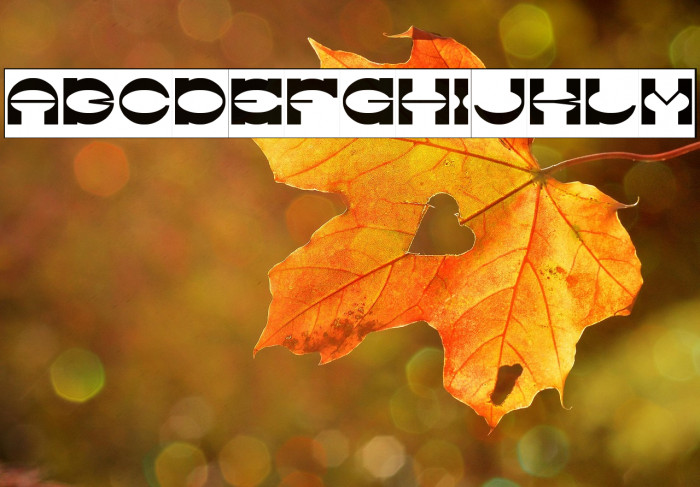 The Machine Gun-Inverse Example 2