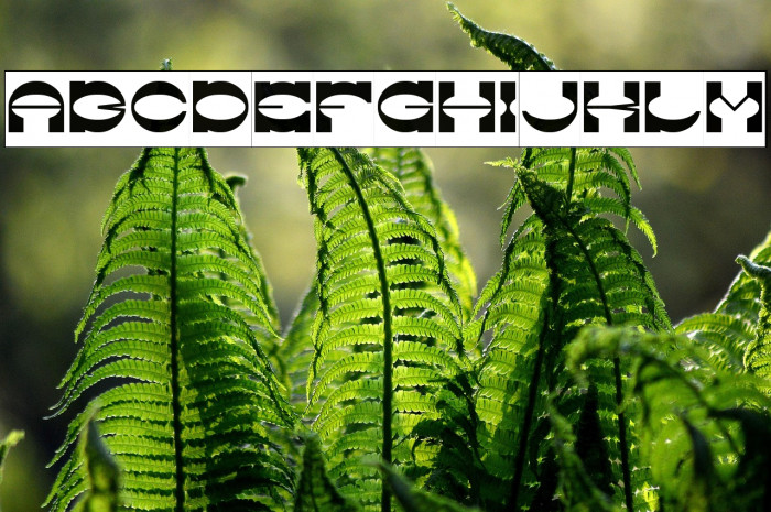 The Machine Gun-Inverse Example 3